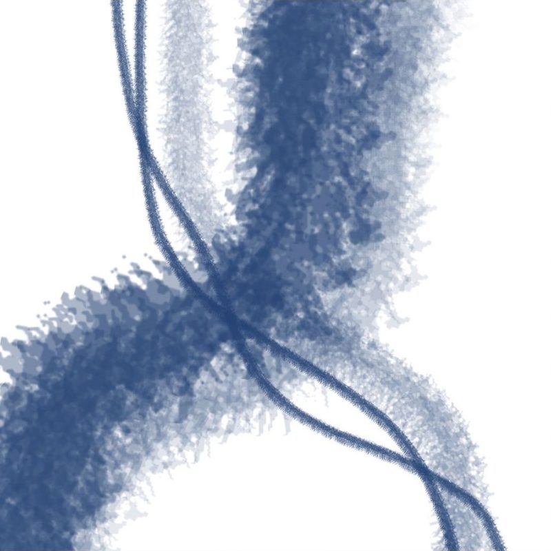 1000 Test product square 2